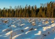 近15天内的天气预报（广州近15天内的天气预报）