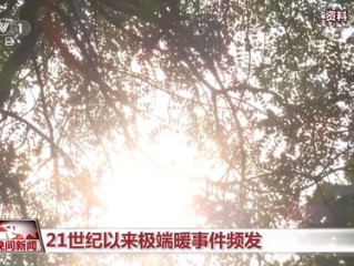 丰台天气，一场温柔的冷暖叙事