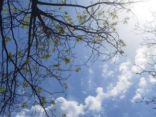 河南全省天气预报，本周气温先升后降，周末迎来新一轮冷空气