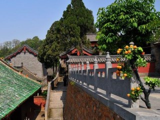 狂风过境，河南迎大风天气，一场与自然的对峙与思考