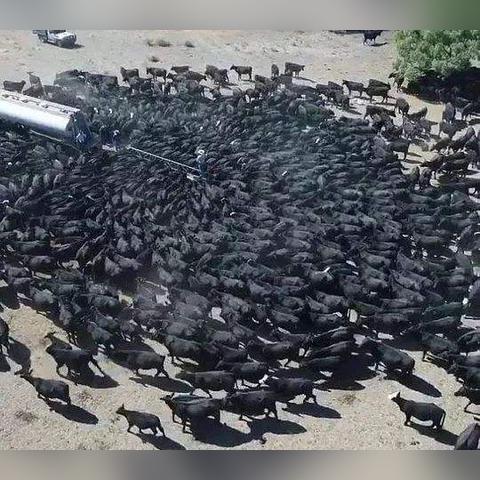 30天天气预报，是科学预言还是概率游戏？