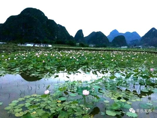 恭城天气,山水间的四季诗篇 恭城天气,山水间的四季诗篇