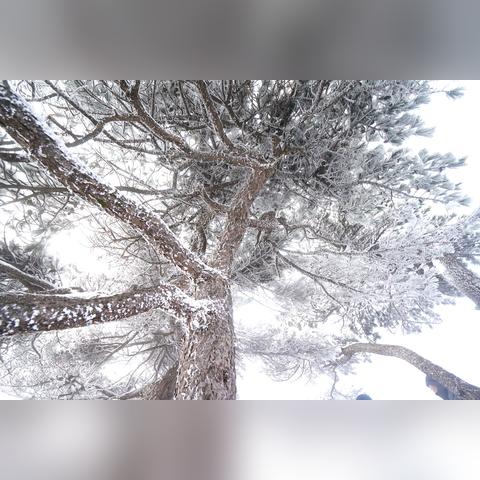 合肥天气预报15天查询百度,轻松掌握未来天气,出行计划更从容 合肥天气预报15天查询百度,轻松掌握未来天气,出行计划更从容