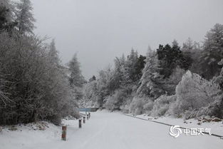 山东迎大范围雨雪天气，银装素裹齐鲁地，出行保暖需留意