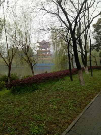 荆州天气预报,一江烟雨中的春秋变幻 荆州天气预报,一江烟雨中的春秋变幻