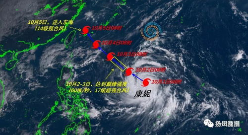 东莞天气30天预报,湿热与台风交织的夏日挑战 东莞天气30天预报,湿热与台风交织的夏日挑战