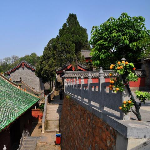 狂风过境,河南迎大风天气,一场与自然的对峙与思考 狂风过境,河南迎大风天气,一场与自然的对峙与思考