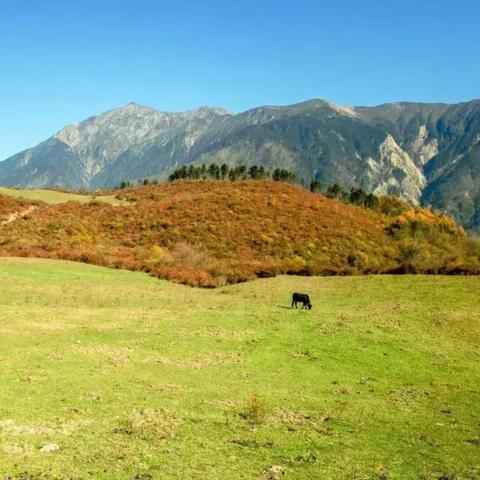 成都未来15天天气预报，秋意渐浓，气温波动需留意