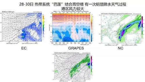 广州未来30天天气预报，湿热交替，台风或成变数