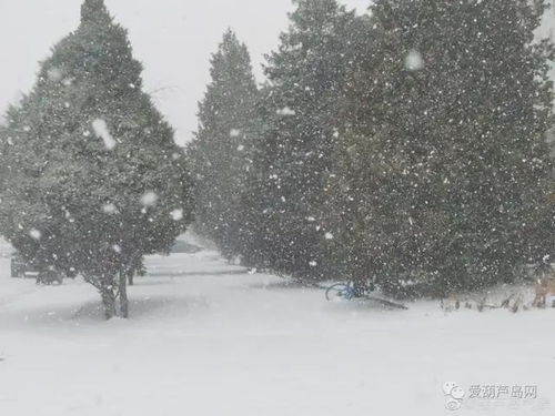 河北将迎大雪大风降温，寒潮来袭，全省进入速冻模式