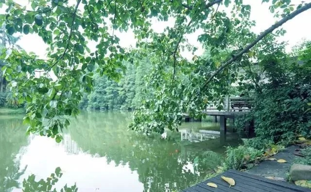 番禺天气,岭南水乡的四季私语 番禺天气,岭南水乡的四季私语