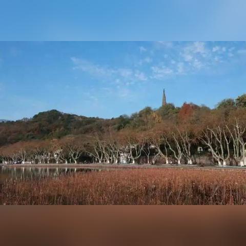 临安天气预报，藏在山水间的冷暖密码