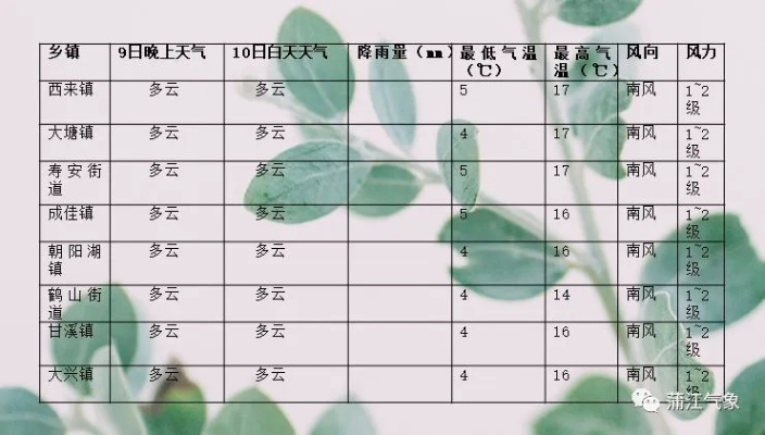 40天天气查询，掌握未来一个月的晴雨表，让生活与工作更从容